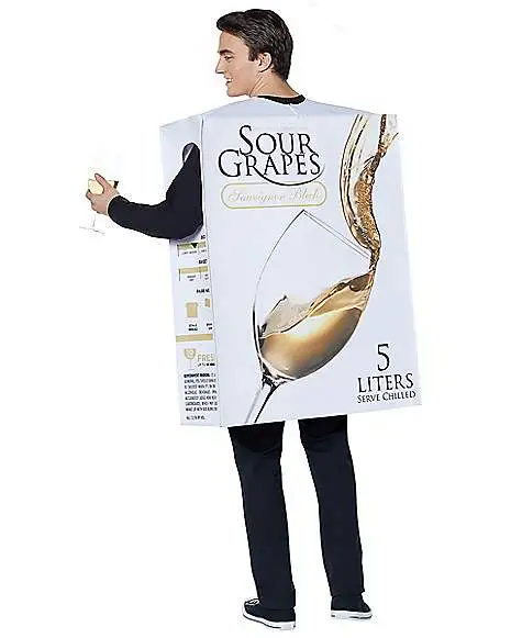 Spirit Halloween Adult Box Of Wine Costume 2 Spirit Halloween Adult Box Of Wine Costume - Image 2