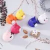 UNIQSO Lens Case Twin Bunny
